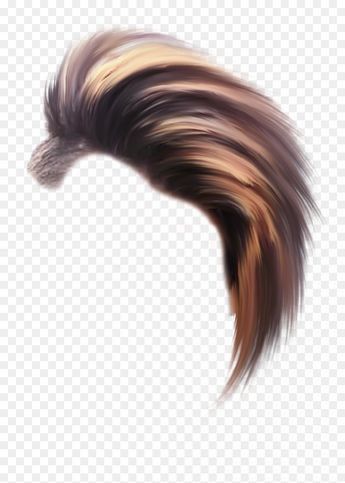 Photoshop Hair, Editing Picsart, Picsart Tutorial, Photoshop Digital Background, Cb Editing, Photoshop Tutorial Photo Editing, Photoshop Backgrounds Free, Download Hair, New Photo Style