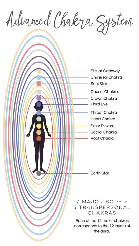 Chakras On Person, 7 Main Chakras, Human Aura Energy Layers, 7 Spiritual Bodies, Chakras And Organs, 114 Chakras Map, Where Are The Chakras Located, Divine Gateway Chakra, Soul Star Chakra Symbol