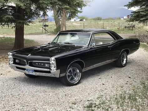 1969 Gto, 67 Pontiac Gto, 1967 Pontiac Gto, Gto Car, Pontiac Gto For Sale, 60s Muscle Cars, 1965 Pontiac Gto, Old Muscle Cars, Pontiac Cars