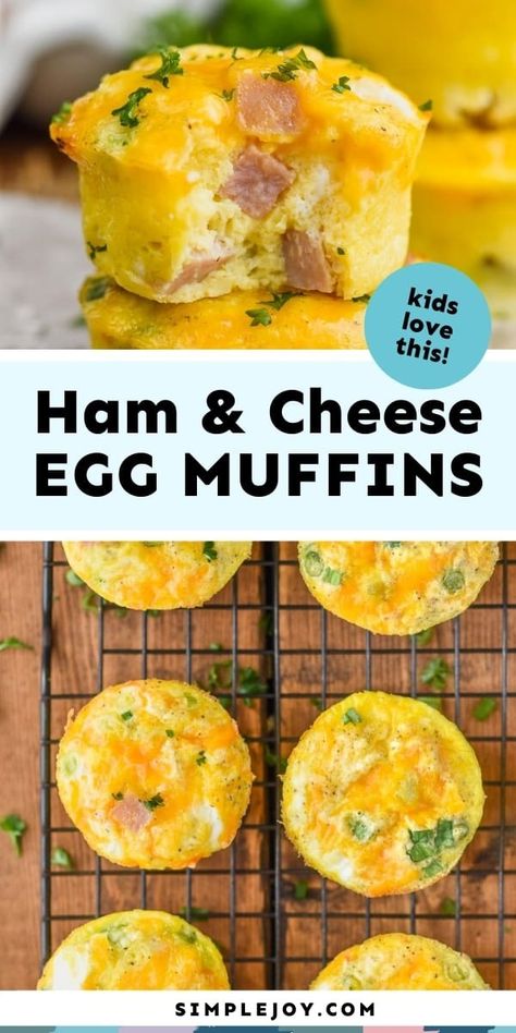 Ham and Cheese Egg Muffins (Easy to freeze and reheat!) - Simple Joy Cupcake Tin Eggs, Ham Egg And Cheese Cups, Ham And Egg Muffin Cups, Ham And Cheese Egg Muffins, Healthy Egg Muffins, Breakfasts On The Go, Easy Egg Breakfast, Easy Yummy Breakfast, Egg Muffins Healthy