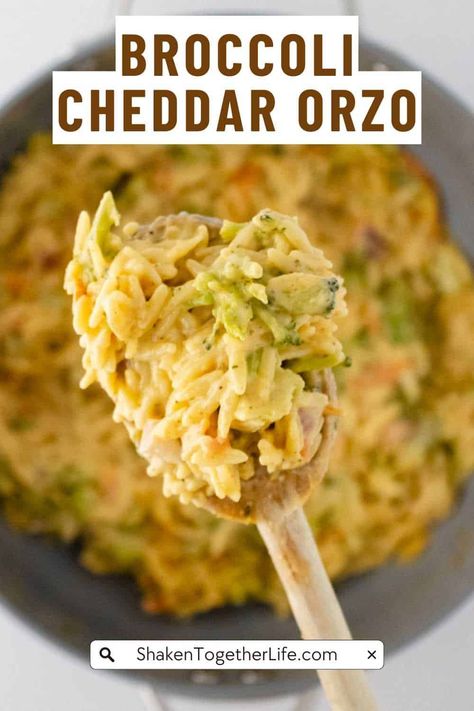 Broccoli Cheddar Orzo combines tender orzo pasta with fresh broccoli in a creamy cheddar sauce. It's a delicious and nutritious side dish that comes together in less than 30 minutes. 🥘🧀🥦 #shakentogetherlife Orzo With Broccoli, Broccoli Cheddar Orzo, Cheddar Orzo, Cheddar Sauce, Chicken Mushroom Pasta, Cheddar Cheese Sauce, Pasta Side Dishes, Pasta Sides, Broccoli Cheddar Soup