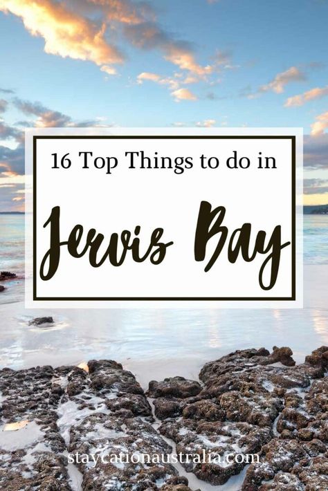 16 Top Things to Do in Jervis Bay in 2024 - Staycation Australia Batemans Bay Australia, Healing Sounds, Jervis Bay, Sunset Cruise, Bike Tour, Crystal Clear Water, Whale Watching, White Sand Beach, Australia Travel