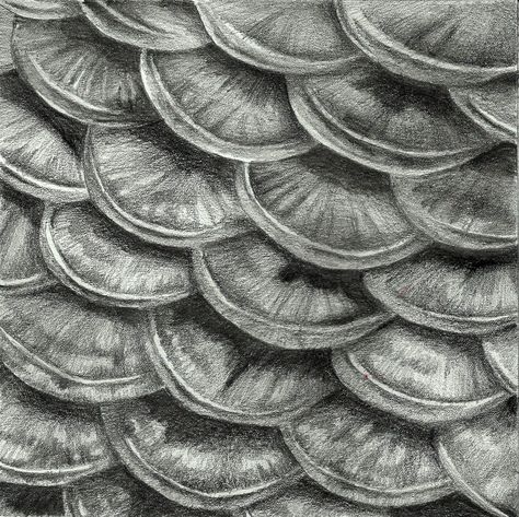 scales Scales Texture Drawing, Fish Texture Drawing, Fish Scale Drawing, Fish Scales Drawing, Texture Drawings, Scales Drawing, Murmuration Art, God Creation, Awakening Soul