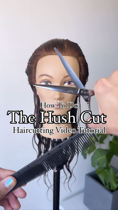 Justin Toves-Vincilione | The Hush Cut ✂️ Educational Video Tutorial . Here’s a step by step on this beautiful combination layered haircut!! This cut is perfect for… | Instagram Hush Haircut Tutorial, Short Hush Cut With Bangs, Layer Cut Tutorial, Hush Cut Tutorial, Pixie Bob For Fine Hair, Fine Hair With Layers, Self Haircut Tutorial, Choppy Pixie Bob, Hush Cut Short