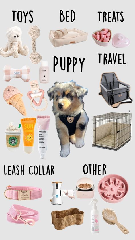 Remix and show me what your dream puppy is!!! #remix #remixthispls Dog Room Design, Dog Supplies List, New Puppy Checklist, Puppy Room, Cute Dog Toys, Cutee Animals, Dog Business, Dog Essentials, Very Cute Dogs