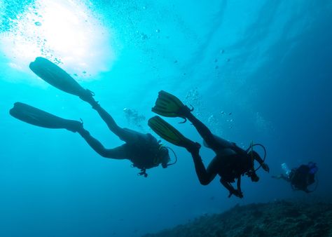 Top 10 Tips for Drift Diving • Scuba Diver Life Scuba Diver Costume, Scuba Diving Lessons, Diving Lessons, Diver Art, Diving School, Scuba Diving Courses, Underwater Diving, Deep Sea Diving, Deep Diving