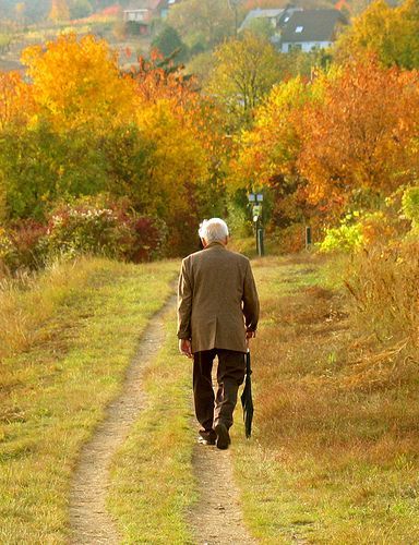 . Country Gentleman, Brisk Walk, Plain Clothes, Autumn Green, Yellow Wood, Robert Frost, Country Scenes, Dirt Road, Village Life