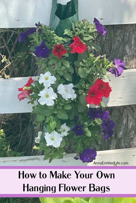 a hanging flower pouch filled with red, white, and purple petunias hanging on a white fence with a tree trunk in the background Hanging Basket Post Ideas, Basket Hooks, Ramp Ideas, Hanging Baskets Diy, Hanging Basket Hooks, Flower Bags, Seedlings Indoors, Petunia Flower, Indoor Plant Wall