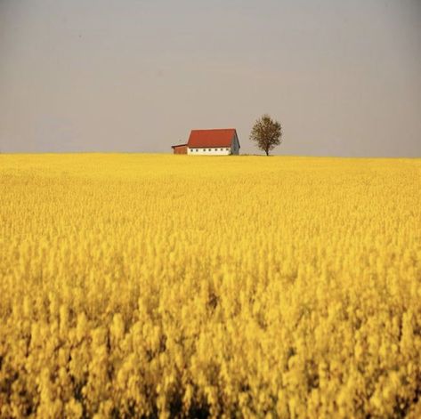 Scenery Pictures, Landscape Photography Nature, Beautiful Places In The World, Alam Yang Indah, Mellow Yellow, Landscape Photos, Watercolor Landscape, Most Beautiful Places, Nature Pictures