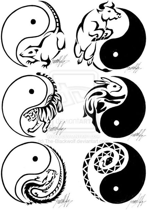 Chinese Tattoo Designs, Chinese Zodiac Tattoo, Ox Tattoo, Tato Tradisional, Tattoo Modern, Chinese Zodiac Tiger, Dragon Zodiac, Aquarius Tattoo, Yin Yang Tattoos