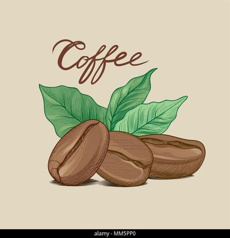 Coffee Banner, Sketch Line Art, Handwritten Lettering, Coffee Artwork, Coffee Drawing, Coffee Cards, Leaf Drawing, Retro Background, Handwritten Letters