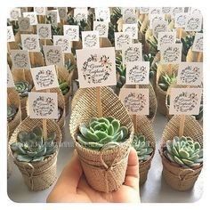 Lilin Aroma, Succulent Wedding Favors, Succulent Favors, Wedding Favors Cheap, Succulent Wedding, בר מצווה, Diy Wedding Flowers, Wedding Souvenirs, Bridal Shower Decorations