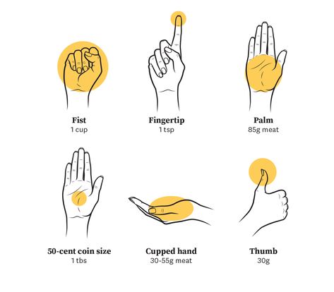 How To Pick The Right Portion Sizes | WW Australia Portion Size Guide, House Hold Items, Food Scales, Fresh Fruit Salad, Cupped Hands, Portion Sizes, Individual Servings, Sauteed Veggies, Kiwi Fruit