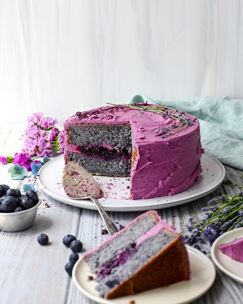 This recipe for blueberry cake is naturally blue and purple colored and tastes like wonderful wild blueberries. A burst of blueberry flavor! Blueberry Birthday Cake, Blueberry Birthday, Brown Sugar Cakes, Red Birthday Cakes, Whiskey Cake, Cocoa Cake, Blueberry Cake Recipes, Cake Mug, Blueberry Cream Cheese