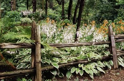 Wooden Fence II Rustic Wood Fence, Split Rail Fence, Country Fences, Rustic Fence, Brick Fence, Timber Fencing, Horizontal Fence, Garden Vines, Rail Fence