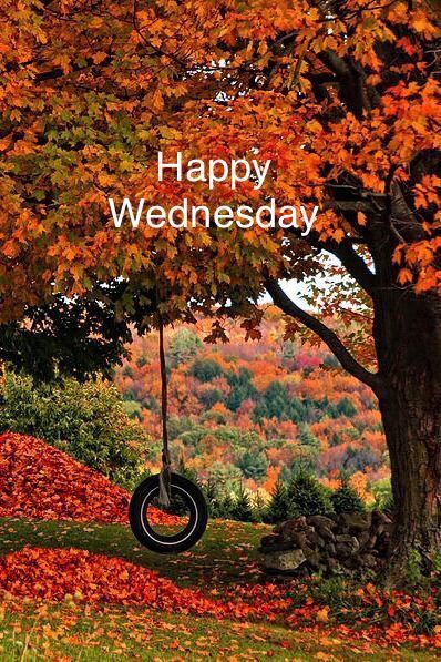 Happy Wednesday! Remember some happy childhood memories today! 🌞 Wednesday Fall, Wednesday Morning Greetings, Wednesday Prayer, Happy Wednesday Images, Good Morning Wednesday, Happy Wednesday Quotes, Happy Childhood, Wednesday Quotes, Morning Quotes Images