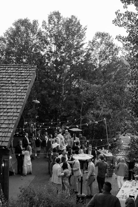 Crested Butte Mountain Garden Wedding - catgalletti.com Mountain Wedding Garden Crested Butte, Crested Butte Wedding, Crested Butte Mountain Biking, Crested Butte Wildflower Hikes, Crested Butte Colorado Wildflowers, Crested Butte Colorado, Cabin Wedding, Makeup Salon, Crested Butte