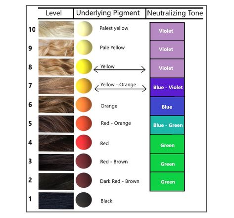 4.6 Formulating the Toner – Hair Colour for Hairstylists: Level 2 Original Mineral Hair Color, Hair Color Theory, Schwarzkopf Hair Color Chart, Ion Hair Color Chart, Levels Of Hair Color, Hair Coloring At Home, Level 6 Hair Color, Level 7 Hair Color, Redken Toner