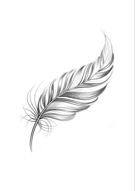 Simple Feather Tattoo Design, Feather Tattoo Design For Women, Feather Tattoo Stencil, Veer Tattoo, Simple Feather Tattoo, Plumas Tattoo, Plume Tattoo, Tattoo Plume, White Feather Tattoos