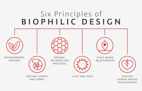 The Benefits of Biophilic Design | Thermory USA Blog Nature, Sustainable Store, Biophilic Architecture, Design Diagram, Conceptual Architecture, Architecture Concept Diagram, Biophilic Design, Concept Diagram, Hospital Design