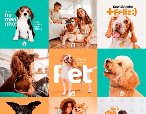 Pet Campaign Design, Pet Store Instagram Feed, Dog Social Media Post Ideas, Pet Social Media Design, Vet Social Media, Dog Branding Design, Dog Social Media Post, Petshop Design, Pet Social Media