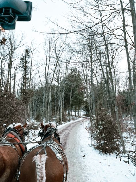 Sleigh Bells Aesthetic, Sleigh Ride Aesthetic, Sleigh Rides In The Snow, Christmas Sleigh Ride, One Horse Open Sleigh, Sleigh Ride, Christmas Inspo, Draft Horses, Horses