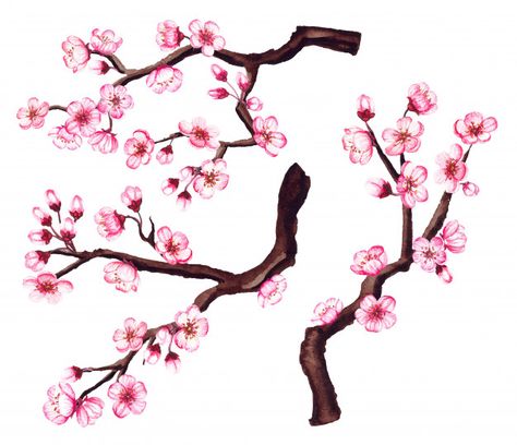 Cherry Tree Branch Drawing, Cherry Blossom Tree Branch Drawing, Sakura Branch Painting, Cherry Blossom Branch Drawing, Sakura Tree Drawing, Cherry Blossom Branch Tattoo, Sakura Tree Branch, Art Kid Aesthetic, Cherry Blossom Drawing