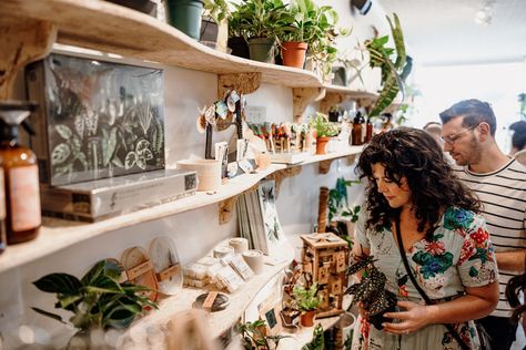 Plant Shops, Twin Cities Minnesota, Potted Ferns, Plant Installation, Plant Accessories, Colleges In Florida, Garden District, Plant Shop, Chicago Shopping