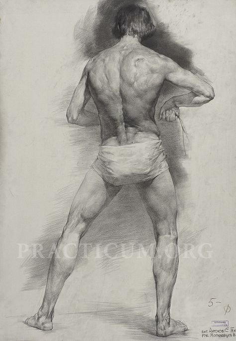 Male Figure Drawing, Body Sketches, Master Drawing, Human Drawing, Art Of Man, Figure Sketching, Gesture Drawing, Inspirational Artwork, Poses References