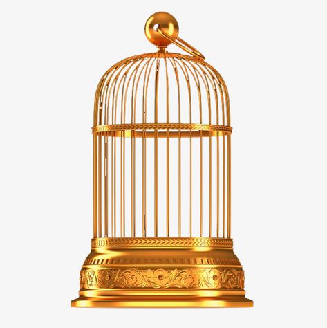 Gold Bird Cage, Golden Grill, Golden Cage, Girl Doodle, Gold Png, Golden Bird, Bird Clipart, Black Doors, Png Transparent Background