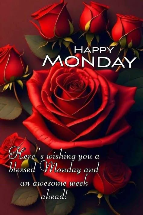 African American Monday Quotes, Monday Blessings New Week Good Morning, Good Monday Afternoon, Good Afternoon Monday, Good Morning Monday Wishes, Monday Blessings New Week, Happy Monday Blessings, Morning Family Quotes, Monday Morning Blessings