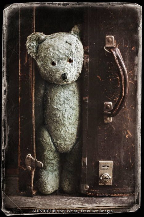 © Amy Weiss / Trevillion Images Teddy Bear Still Life Photography, Trevillion Images, Still Life Pictures, Teddy Bear Images, Bear Images, Creepy Doll, Old Suitcases, Boarding House, Old Dolls