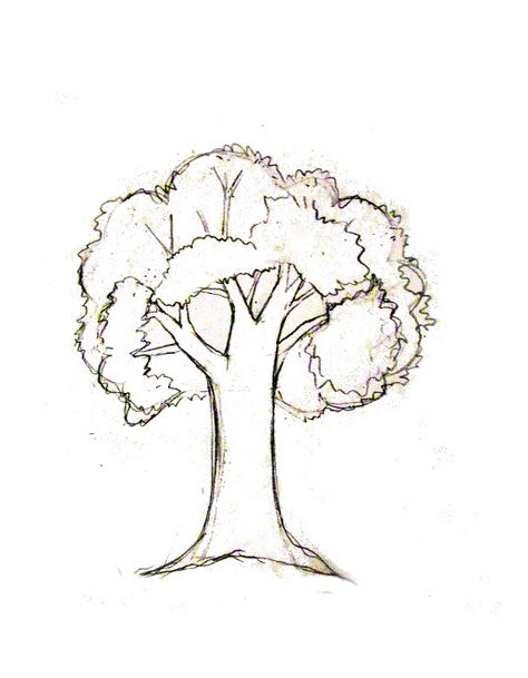 How to draw a tree tutorial Drawing Of A Tree Simple, 3d Tree Drawing, Family Tree Drawing Ideas Easy, How To Draw A Simple Tree, How To Draw Family Tree, Tree Drawing Reference, How To Draw A Tree, Three Drawing, Hill Drawing