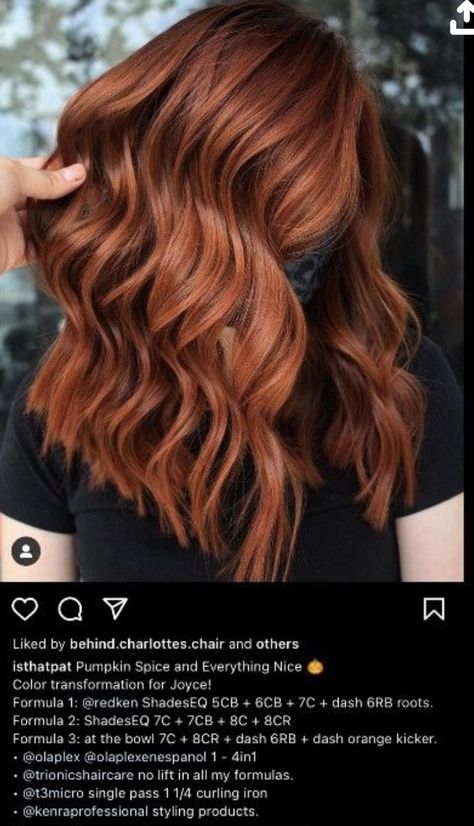 Red Hair Formulas, Red Copper Hair Color, Winter Hair Color Ideas, Redken Hair Color, Redken Hair Products, Hair Toner, Hair Color Formulas, Ginger Hair Color, Copper Hair Color