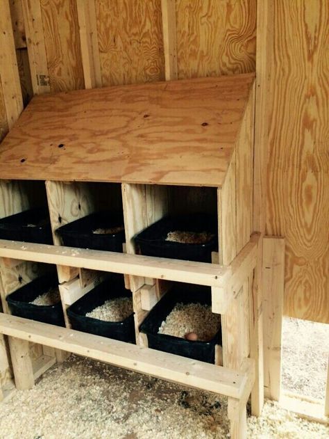 Nests-dishpan Reban Ayam, Rooster Crowing, Slanted Roof, Chicken Coop Pallets, Chicken Pen, Chicken Nesting Boxes, Diy Chicken Coop Plans, Chicken Life, Coop Design