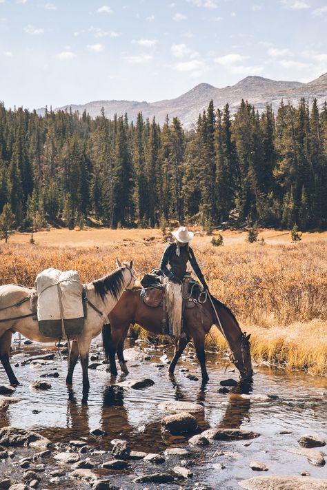 Archery Elk Hunting, Wyoming Nature, Hunting Guide, Wall Tent, Cowboy Aesthetic, Western Photography, Camping Set Up, Wind River, Camping Set