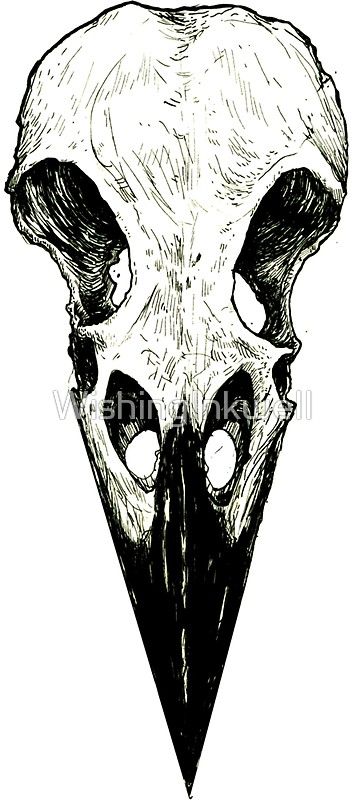 Animal Skull Drawing, Crows Drawing, Skull Reference, Dragon Tattoo Art, Bone Tattoos, Crow Skull, Raven Skull, Skull Tattoo Design, Skull Sticker