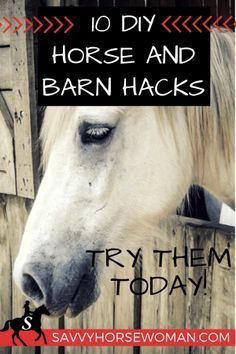 10 DIY Horse and Barn Hacks - Try Them Today! Savvy Horsewoman #horse #diy #hacks Equestrian Diy, Diy Horse Stuff, Horse Hacks, Horse Ownership, Barn Hacks, Horse Care Tips, Horse Info, Diy Horse, Riding Tips