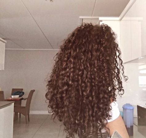 Healthy 3b Hair, Long 3b Hair Aesthetic, Curly Hair Asethic, 3a 3b Hair, 3b Hair Aesthetic, Healthy Curly Hair Aesthetic, Long 3b Hair, Long Healthy Curly Hair, 3b Hair Type