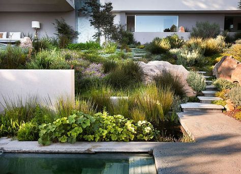 9 Lessons Learned from Tiny Backyards Contemporary Garden Design, Landscape Architecture Design, Contemporary Garden, Garden Landscape Design, Modern Landscaping, Contemporary Landscape, Garden Spaces, Shade Garden, Front Garden