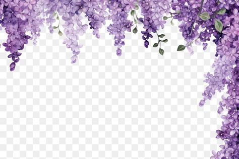 Cherry Blossom Border, Wisteria Flower, Purple Wisteria, Png Flower, Border Png, Flower Purple, Vintage Borders, Hanging Flowers, Violet Flower