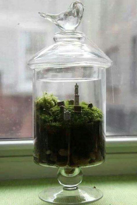 DIY Cemetarium Moss Terrarium, Garden Terrarium, Apothecary Jars, Graveyard, Holidays Halloween, Glass Jar, Favorite Holiday, Green Thumb, Fall Halloween