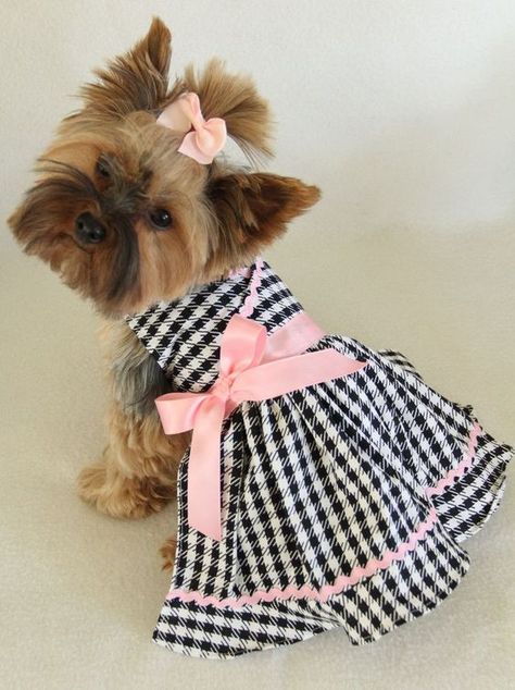 January 14 is National Dress Up Your Pet Day. Yorkie Clothes, Dog Clothes Patterns, Pet Day, Dog Items, Pet Fashion, Puppy Clothes, Dog Dresses, Girl And Dog, Dog Coats