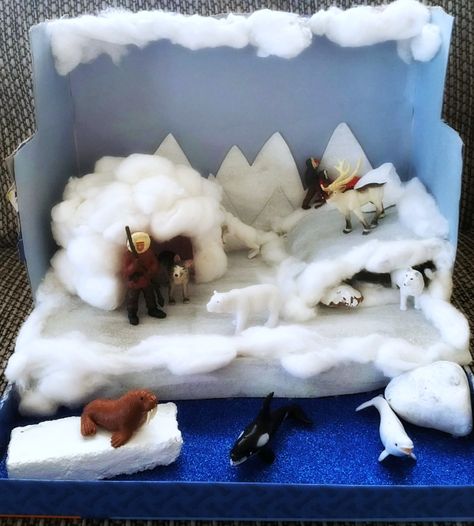 May 2016- Arctic Diorama (4) ed Tundra Diorama, Polar Habitat, Ecosystems Diorama, Habitat Diorama, Arctic Habitat, Ocean Diorama, Biomes Project, Diorama Kids, Ecosystems Projects