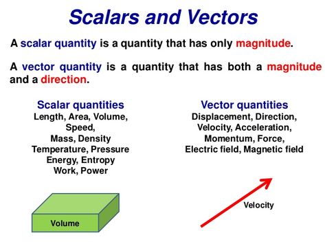 Scalars and Vectors  A scalar quantity is a quantity that has only magnitude.  A vector quantity is a quantity that has bo... Scalar And Vector, Physics Lessons, Physics Concepts, Biology Worksheet, How The Universe Works, Physics Classroom, Chemistry Education, Physics Notes, Combining Like Terms