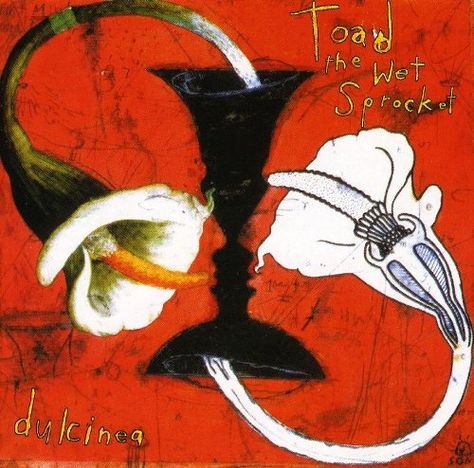 Dulcinea Toad The Wet Sprocket, 90s Songs, Music Album Covers, Best Albums, Alternative Rock, Music Album, My Favorite Music, Digital Music, Falling Down