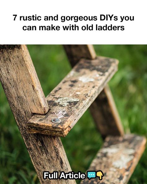 7 rustic and gorgeous DIYs you can make with old ladders Small Wood Ladder Decor, Small Wooden Ladder Ideas, Wooden Ladders, Ladder Upcycle, Old Ladder Shelf, Old Wooden Ladder Ideas, Repurpose Ladder, Step Ladder Decor, Decorative Ladder Ideas