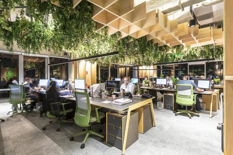 Forest Office, Biofilic Design, Eco Office, Office Nature, Digital Forest, Office Inspiration Workspaces, Interior Design Office, Green Office, H Design