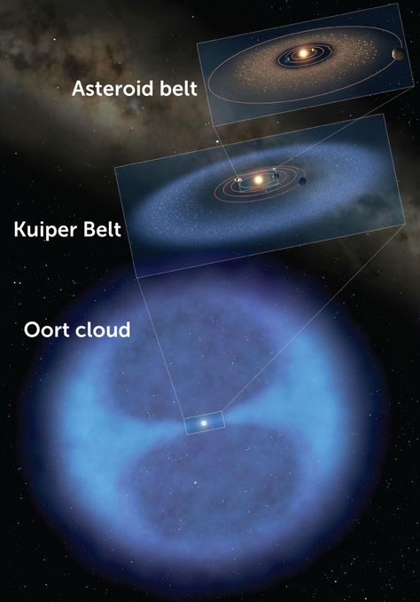 The discovery of the Kuiper Belt revamped our view of the solar system | Science News Oort Cloud, Holographic Universe, Kuiper Belt, Astronomy Facts, Astronomy Science, Asteroid Belt, Gas Giant, Solar System Planets, Space Pictures