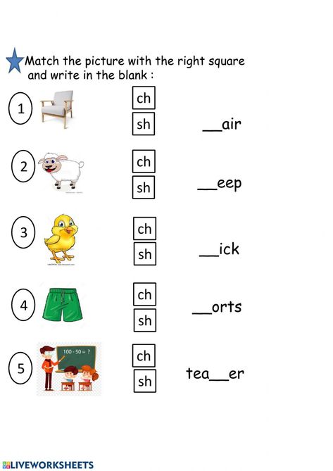 Phonics: sh-ch - Interactive worksheet Ch Words Worksheets For Kindergarten, Ch Diagraph Worksheets Free, Th Phonics Worksheet, Ch Worksheets Kindergarten, Ch Digraph Worksheet, Ch Blend Worksheets, Phonograms Worksheets, Ch Sound Worksheets, Ch Words Worksheets